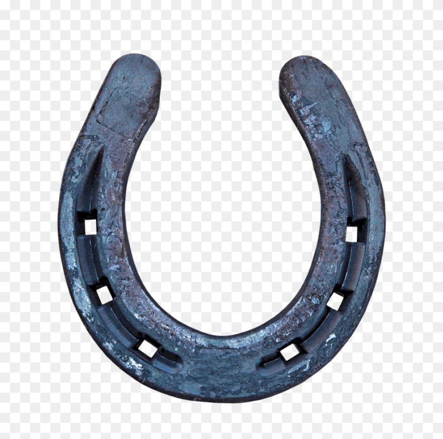 Horseshoe Clip Art At ClipartFlare 