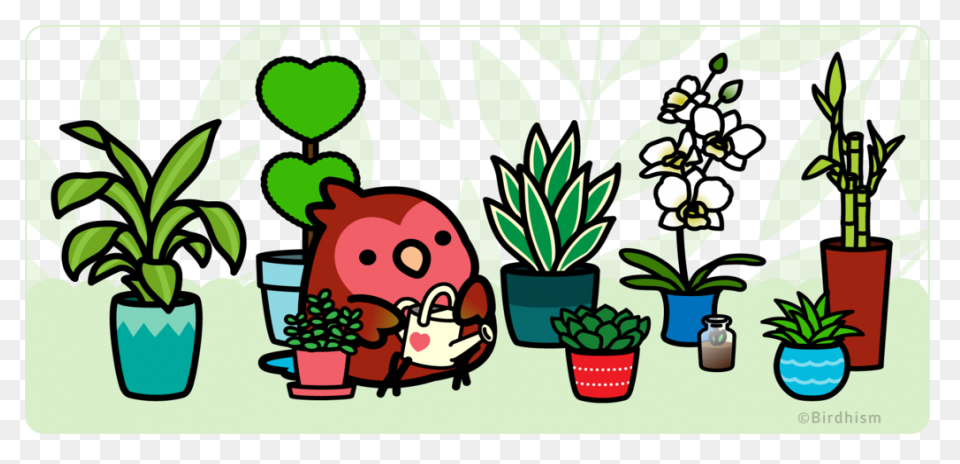 Common Bird Safe And Toxic - House Plant