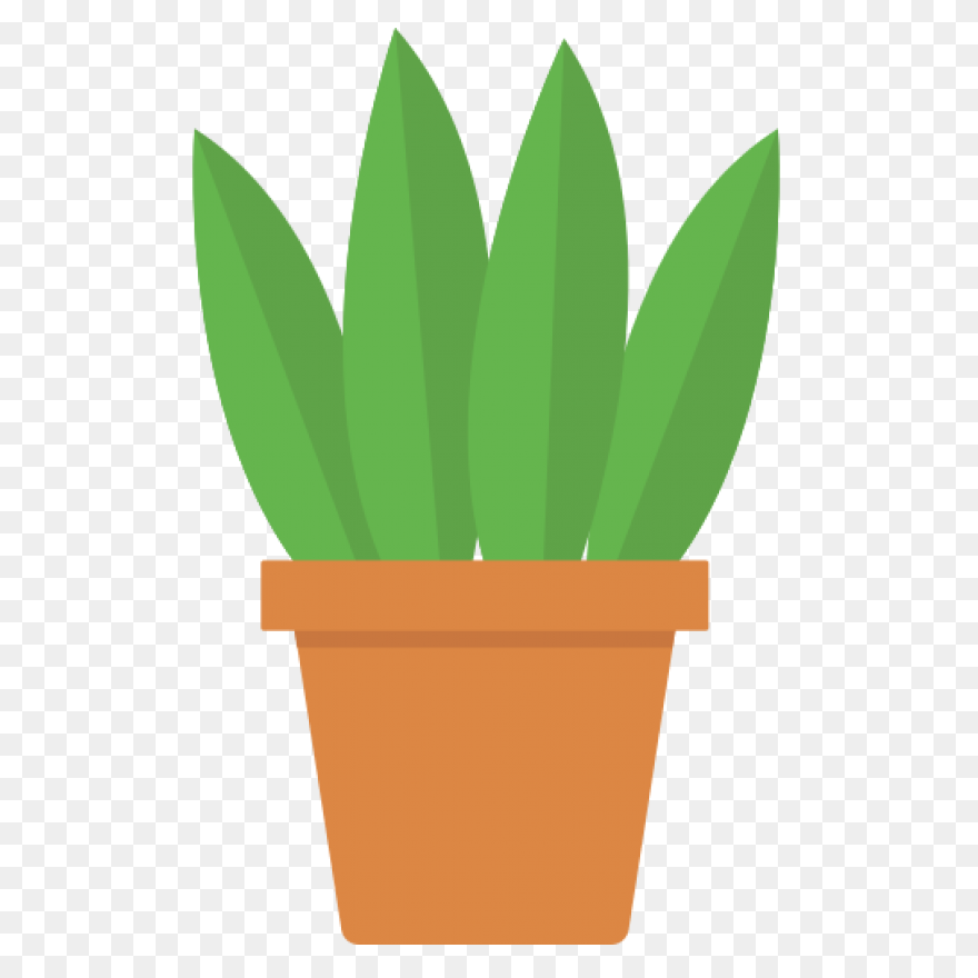 Common Bird-Safe And Toxic Plants �