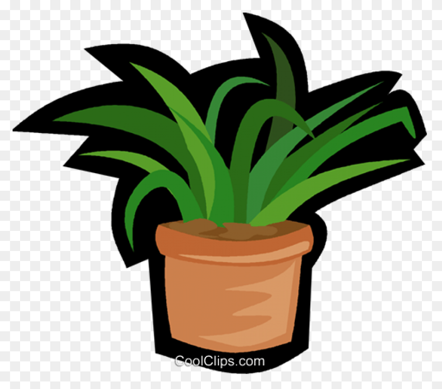 Common Bird-Safe And Toxic Plants �