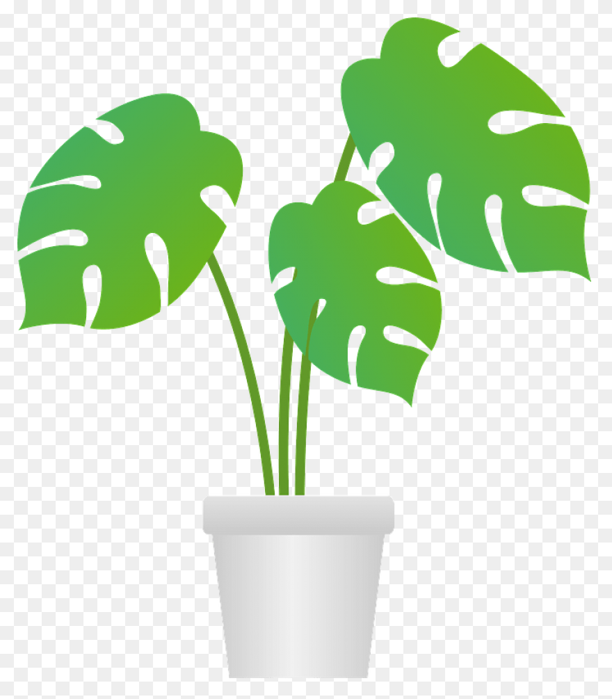 Common Bird-Safe And Toxic Plants �