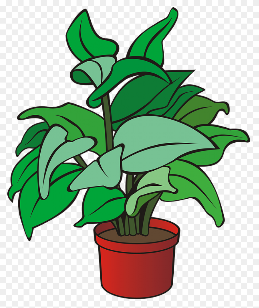 Common Bird-Safe And Toxic Plants �