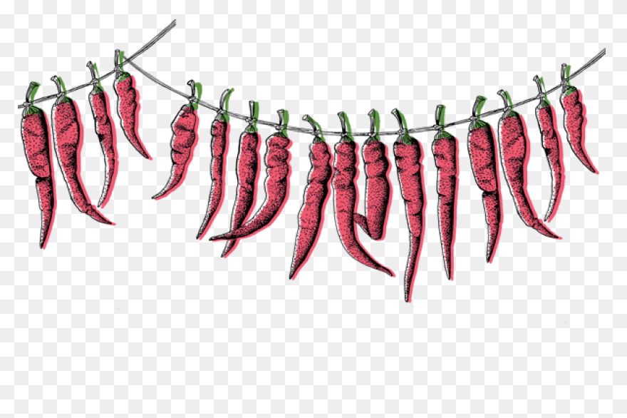 Chili Pepper Cliparts - Cliparts Zo