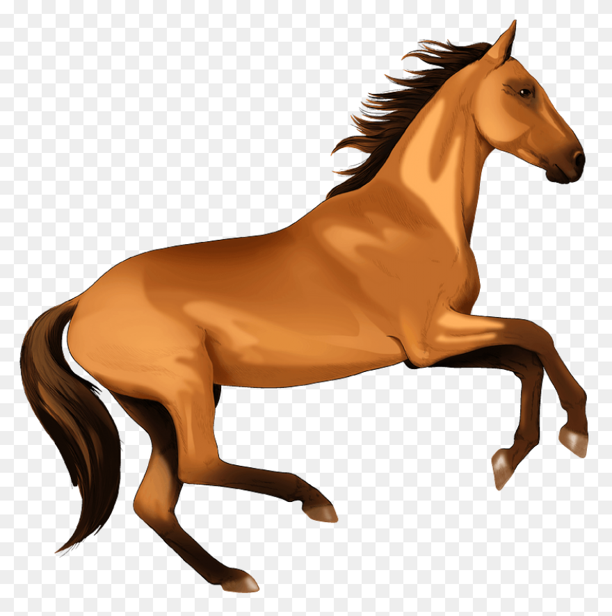 Free Horse Clip Art, Download Free 