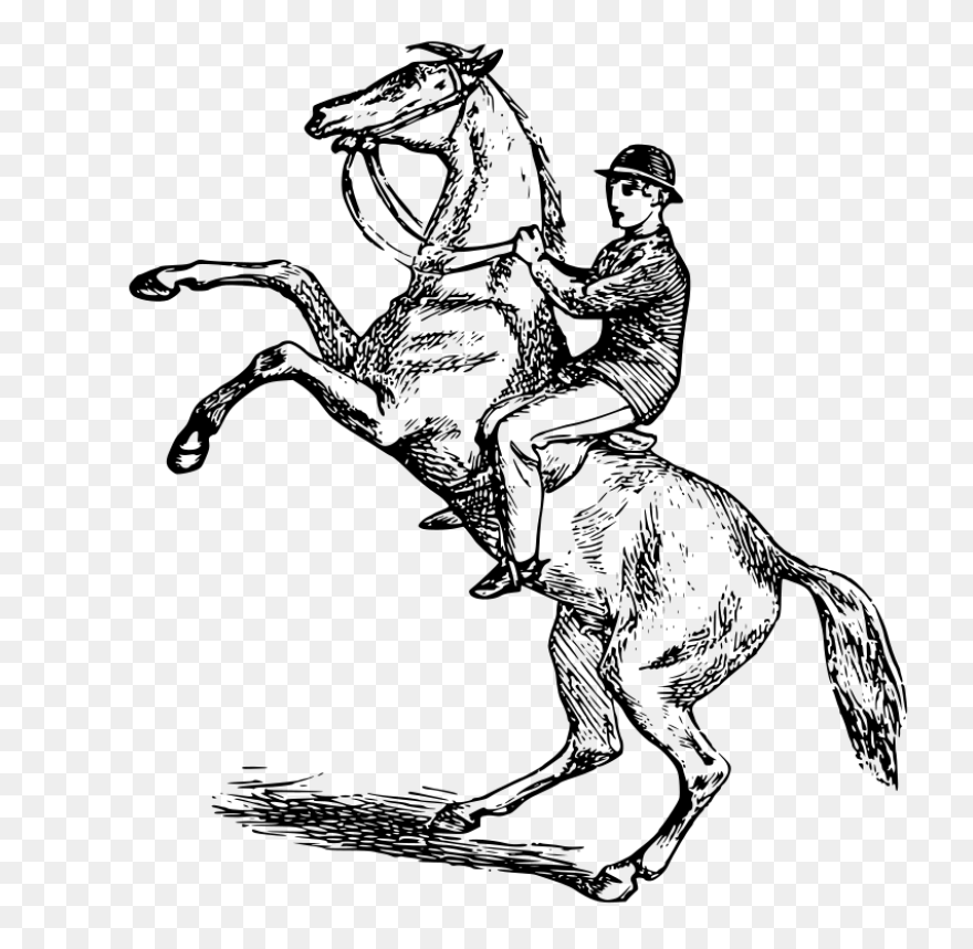 Free Horse Clip Art, Download Free 