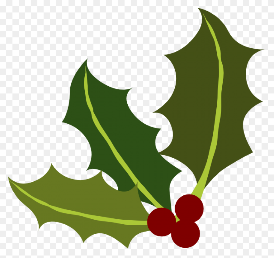 Leaf Aquifoliaceae Holly Leaf Clipa