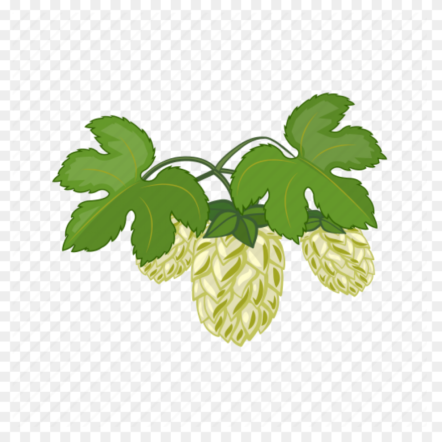 Home - Hop Head Farms
