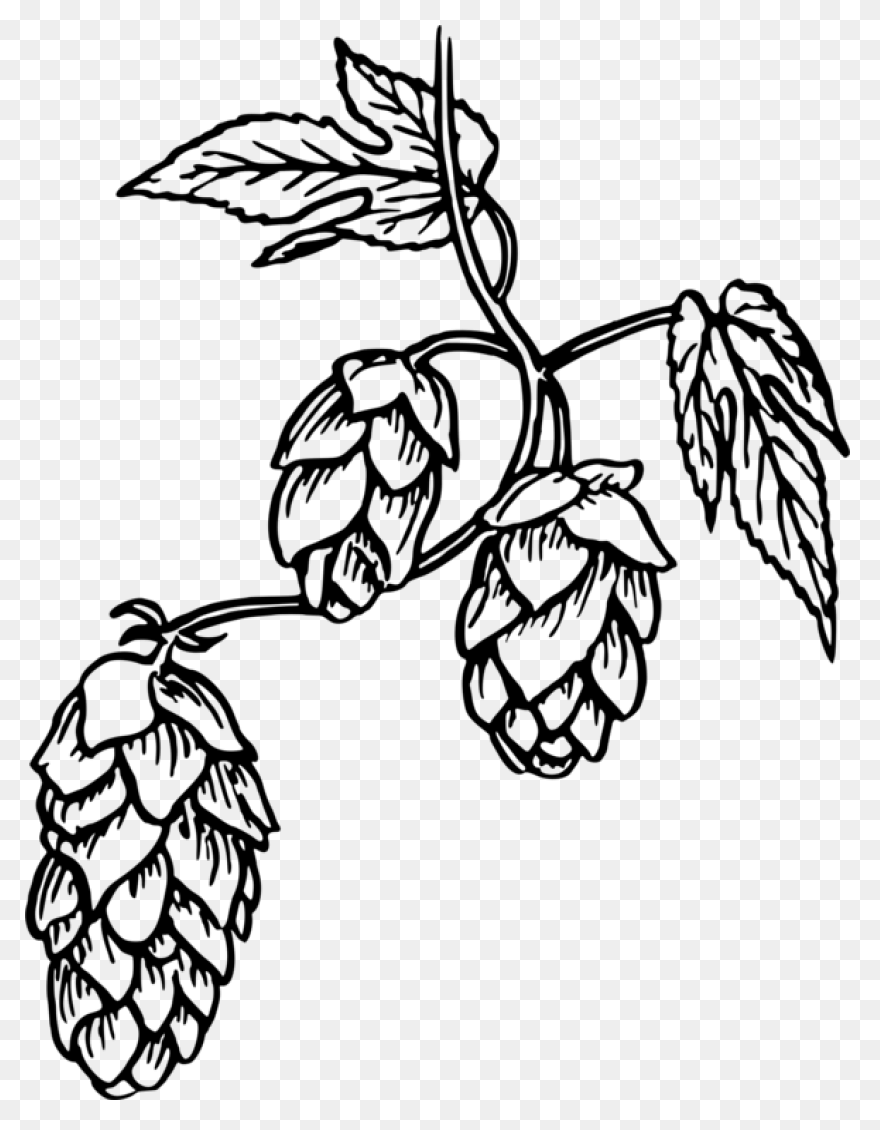Home - Hop Head Farms