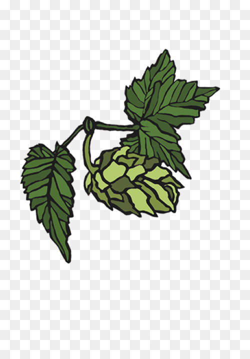 Home - Hop Head Farms