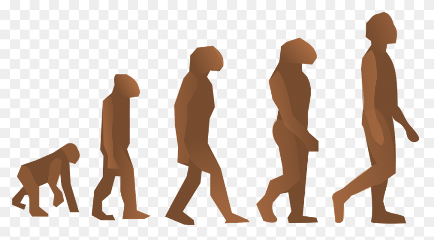 Free Human Cliparts, Download Free 