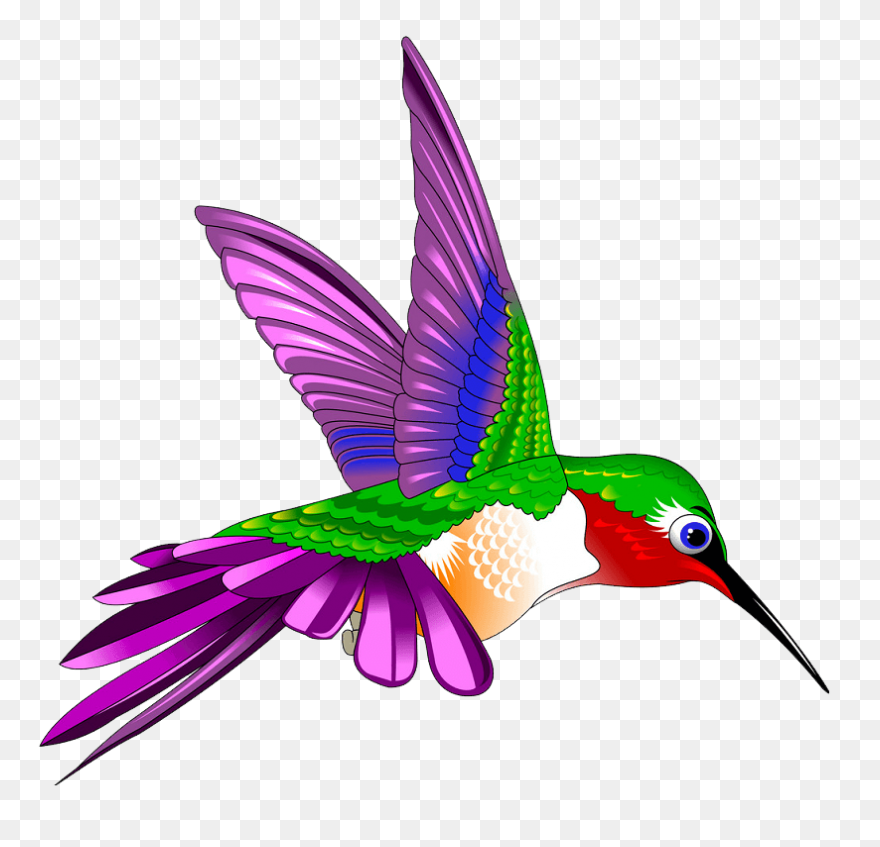 Free Hummingbird Cliparts, Download