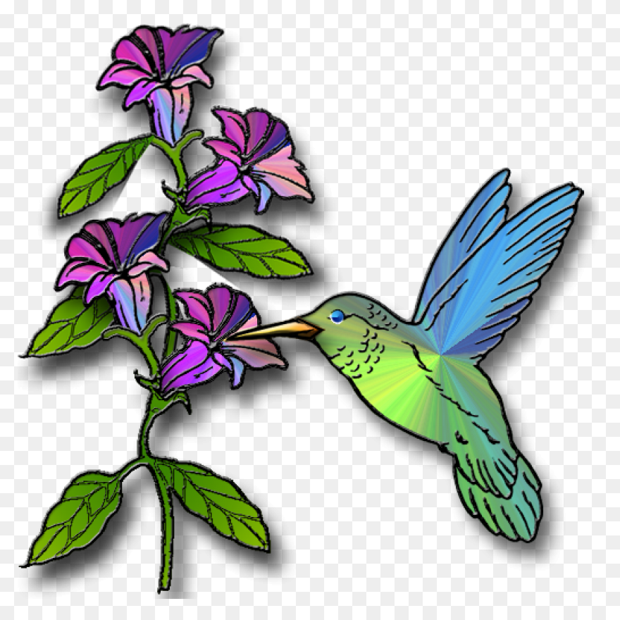 Free Hummingbird Cliparts, Download