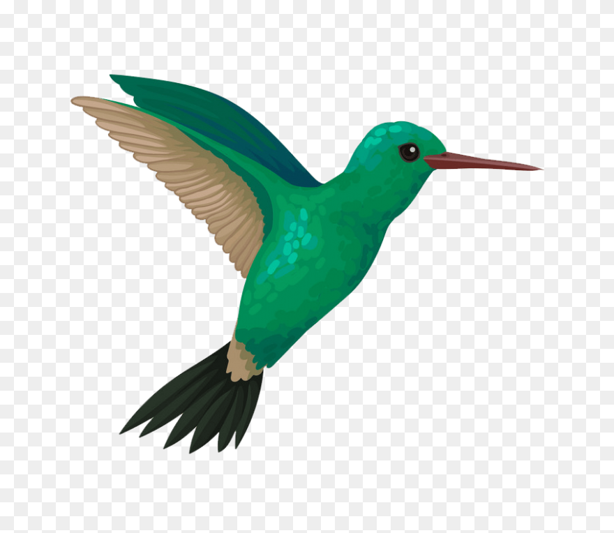 Free Hummingbird Cliparts, Download