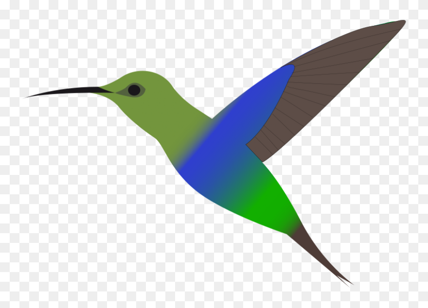 Free Hummingbird Cliparts Download Free - Hummingbird