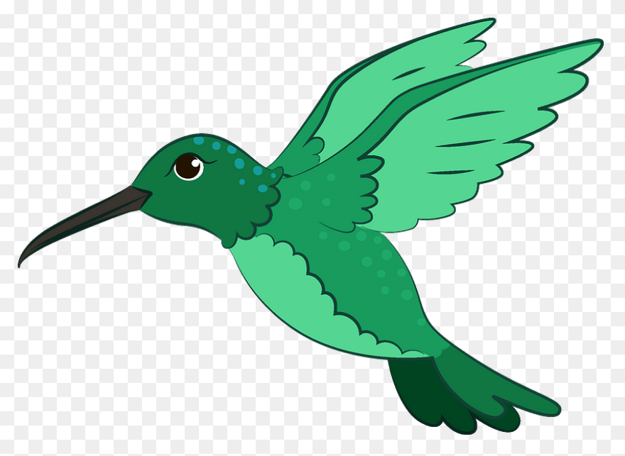 Free Hummingbird Cliparts, Download