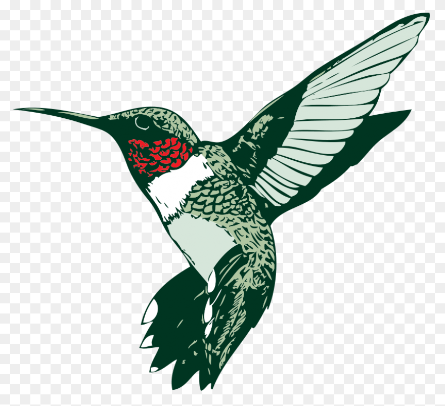 Free Hummingbird Cliparts, Download