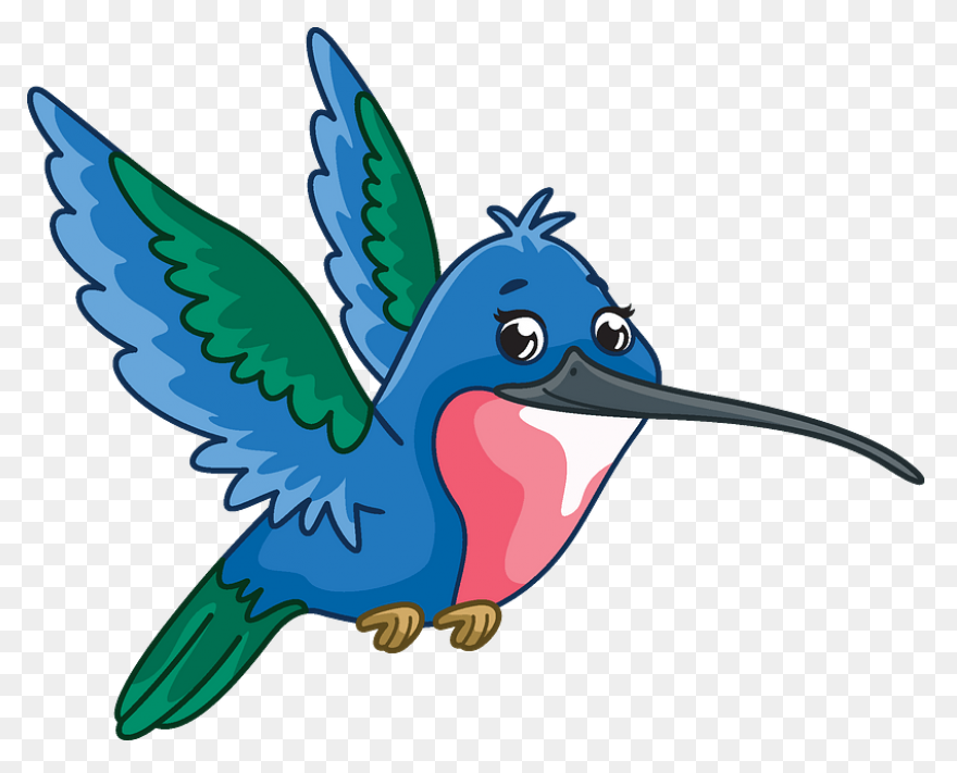 Free Hummingbird Cliparts, Download