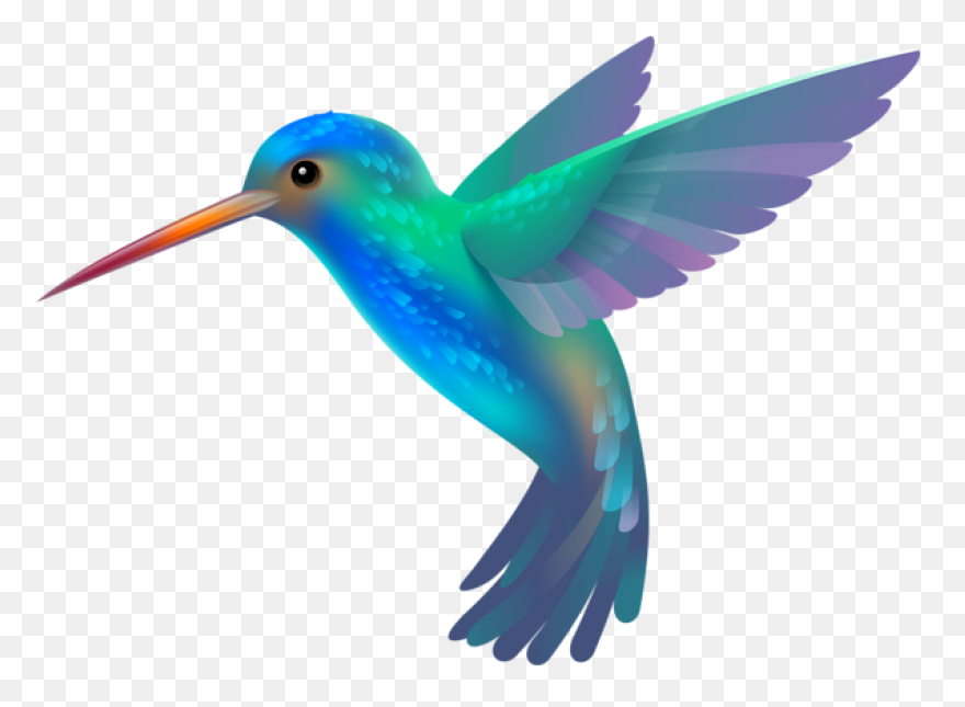 Free Hummingbird Cliparts, Download