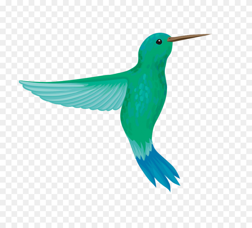 Free Hummingbird Cliparts, Download