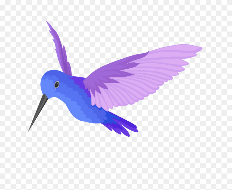 Free Hummingbird Cliparts, Download