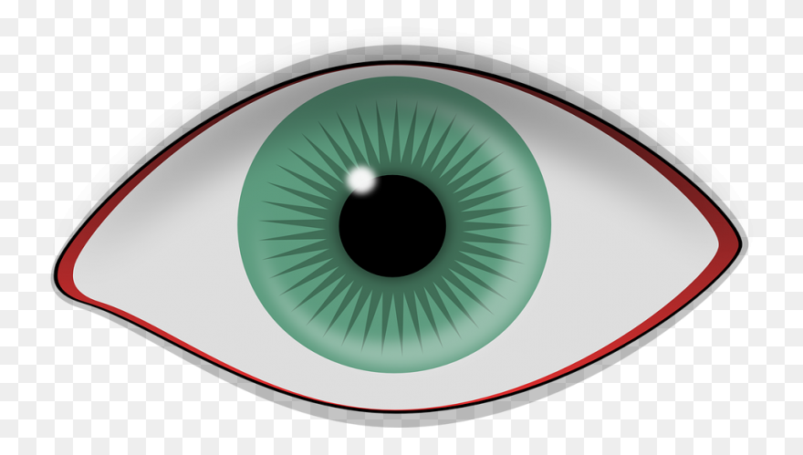 Cartoon Human Eyes Png Clipart - Fu