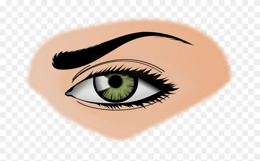 Cartoon Human Eyes Png Clipart - Fu