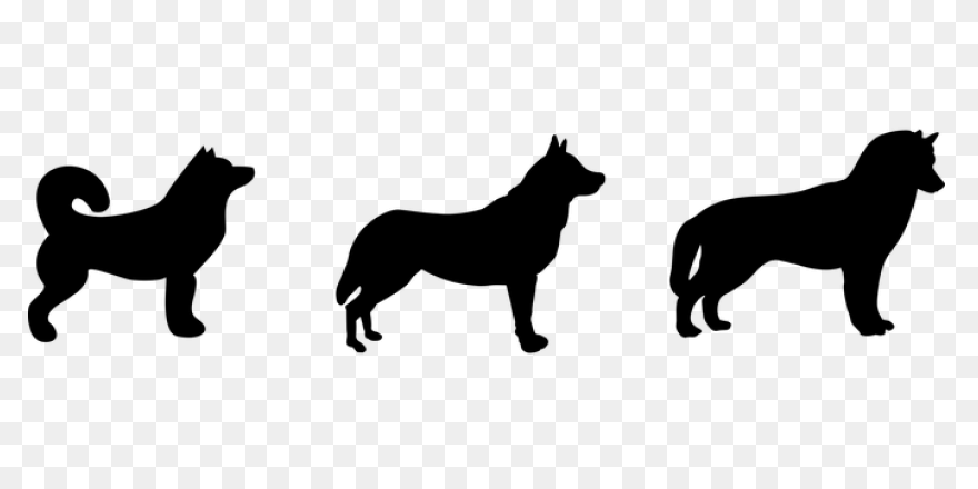 Huskymoji - Husky Emoji & Stick