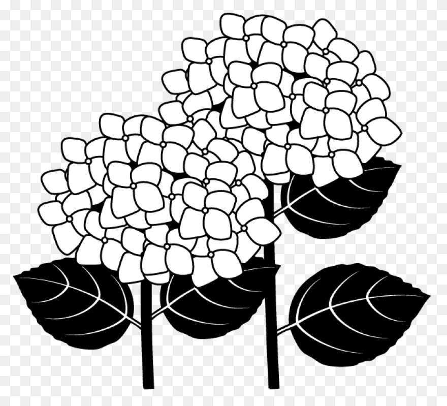 Free Hydrangea Cliparts Download Free - Hydrangea
