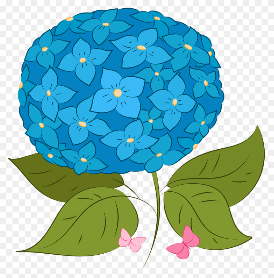 Hydrangea Transparent Watercolor - 