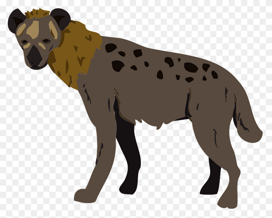 Cute Hyena Clipart Lrg 61 #wp18T5 -