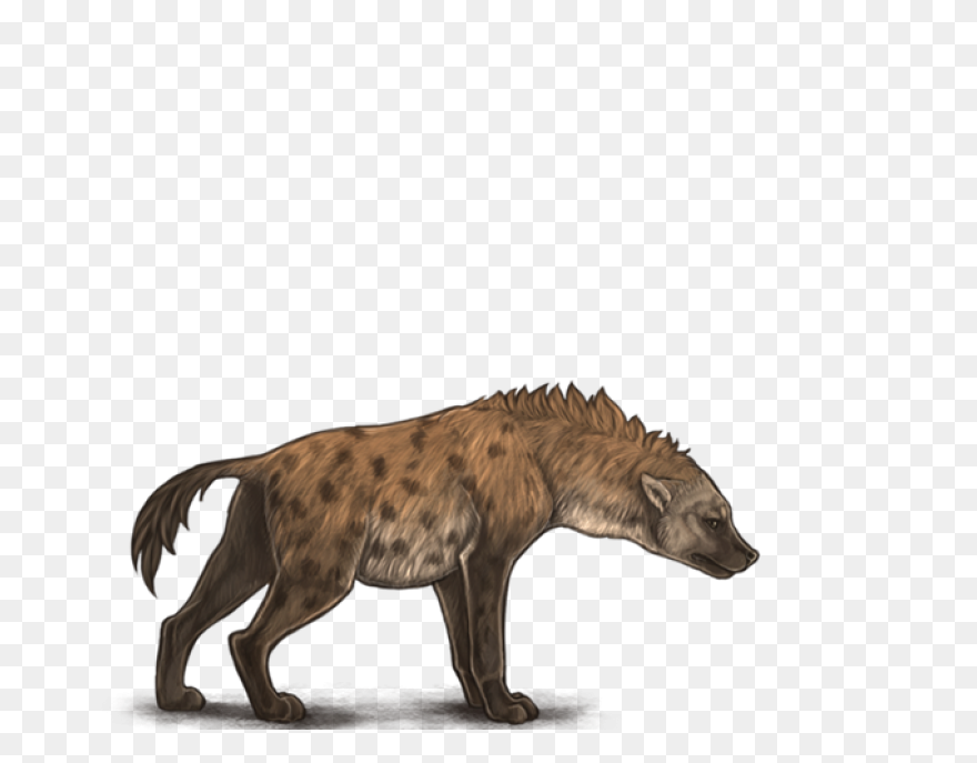 Cute Hyena Clipart Lrg 61 #wp18T5 -