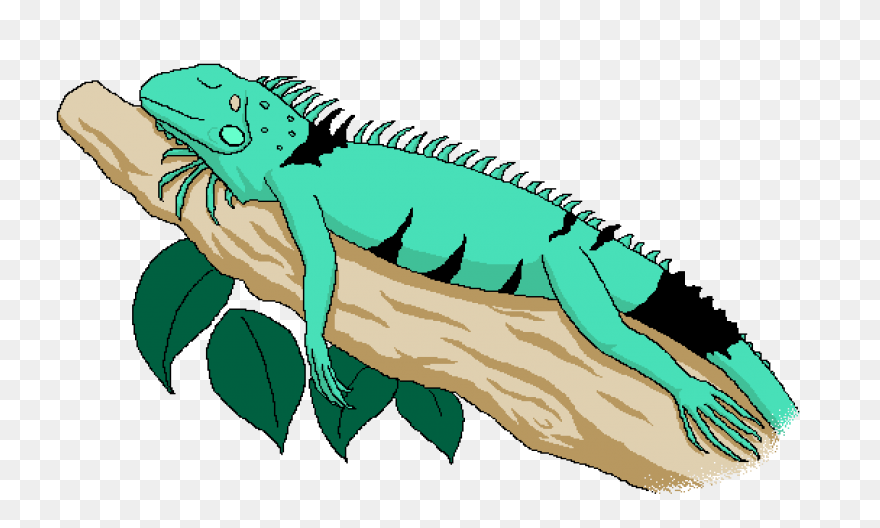 Iguana Clipart - ClipartFlare