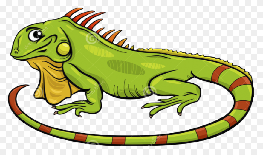 Iguana Clipart - ClipartFlare