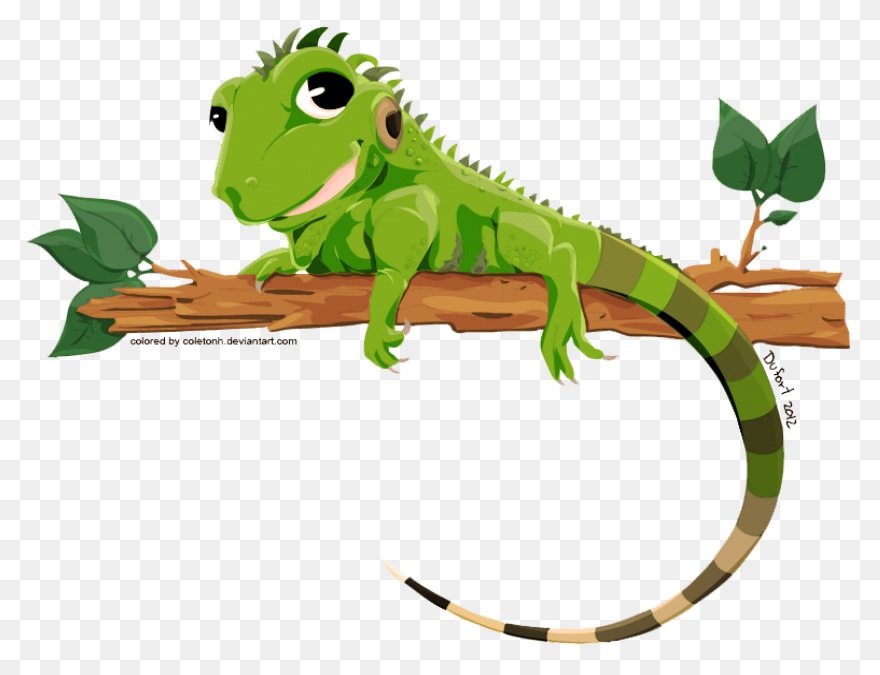 Iguana Clipart - ClipartFlare