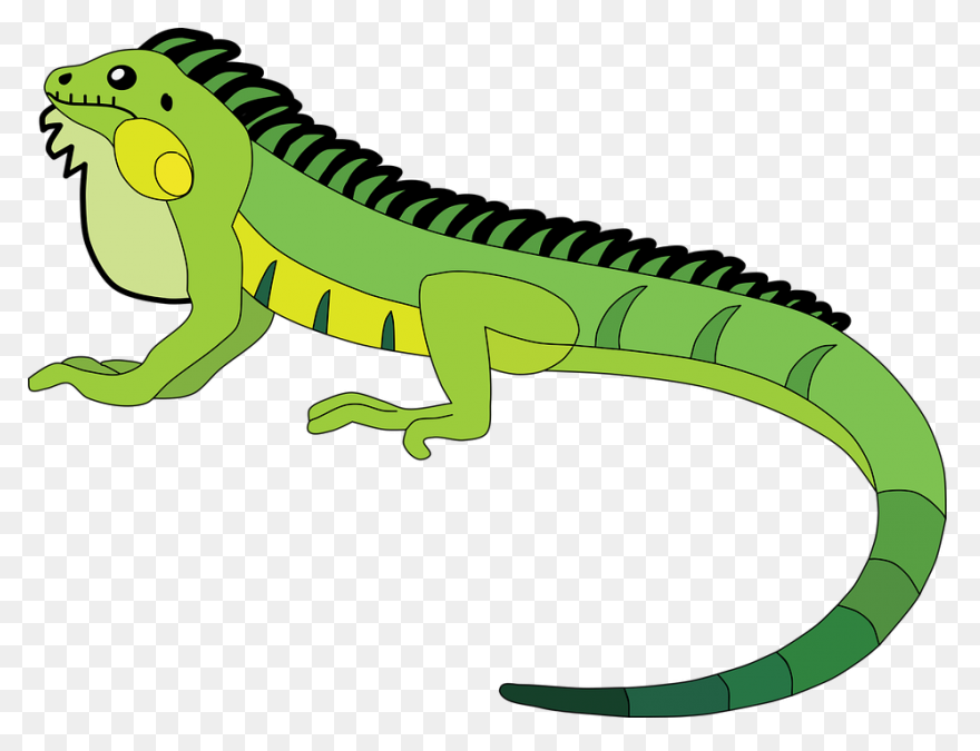 Iguana Clipart - ClipartFlare