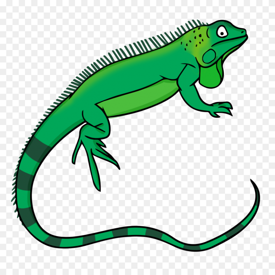Iguana Clipart  - Iguana