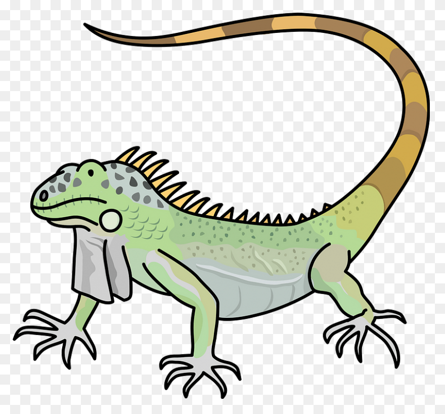 Iguana Clipart - ClipartFlare