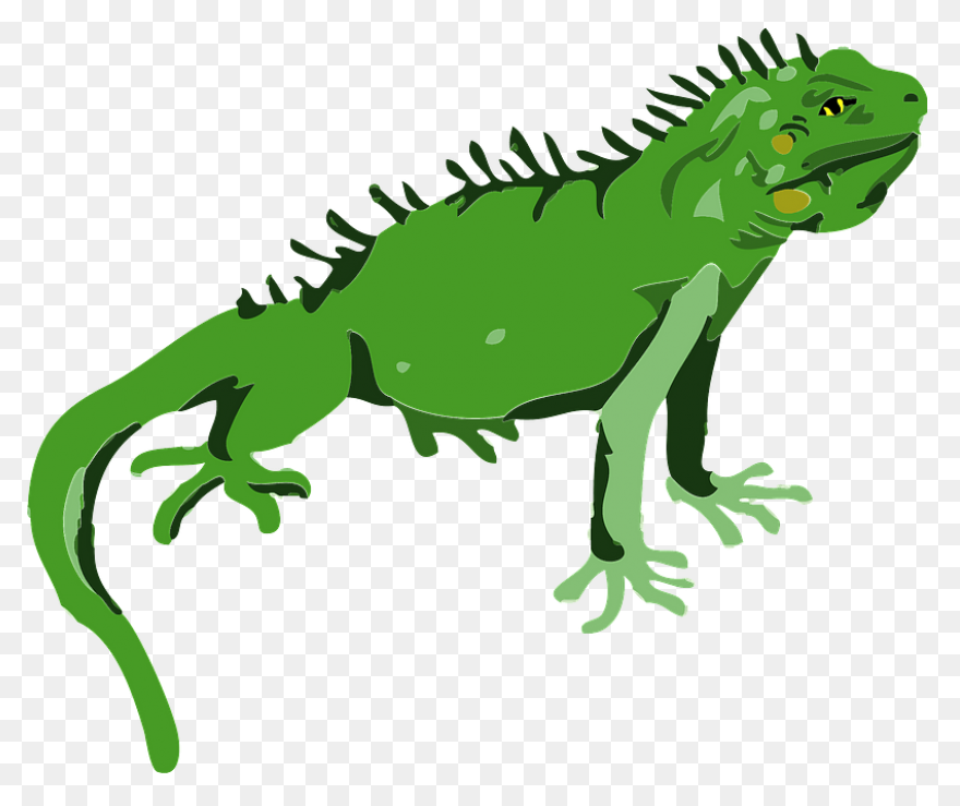 Iguana Clipart - ClipartFlare