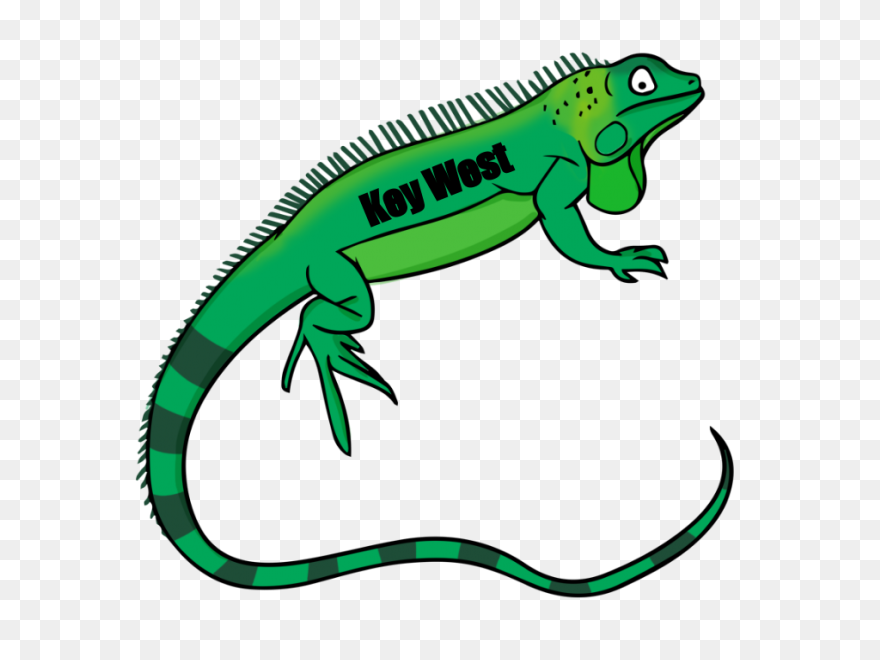 Iguana Clipart - ClipartFlare