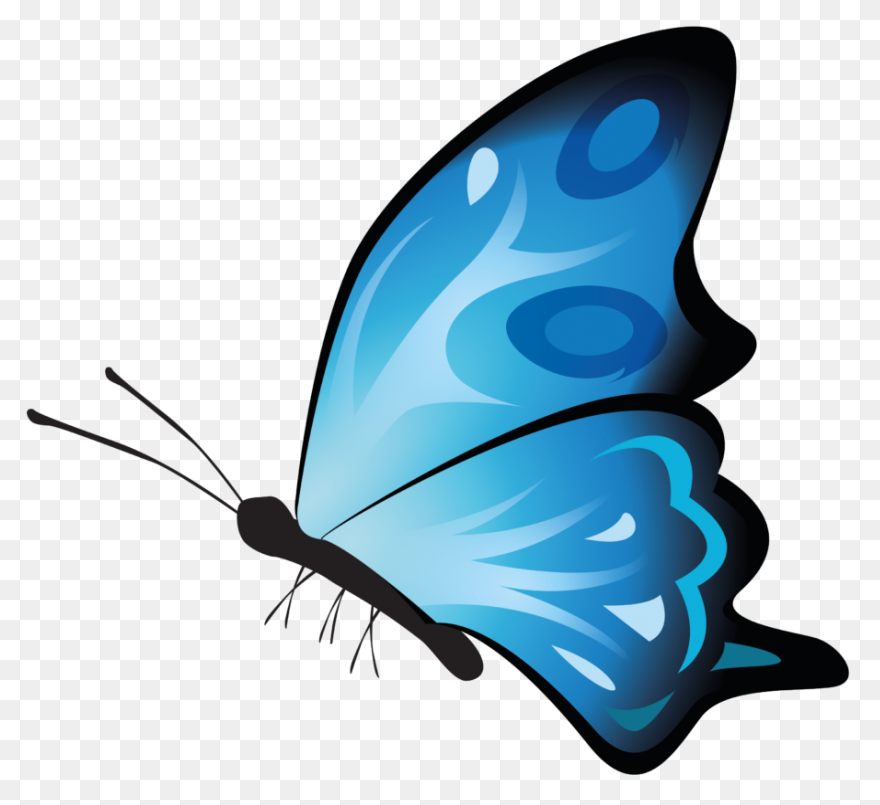 Parrot Png Full Hd Clipart - Full S