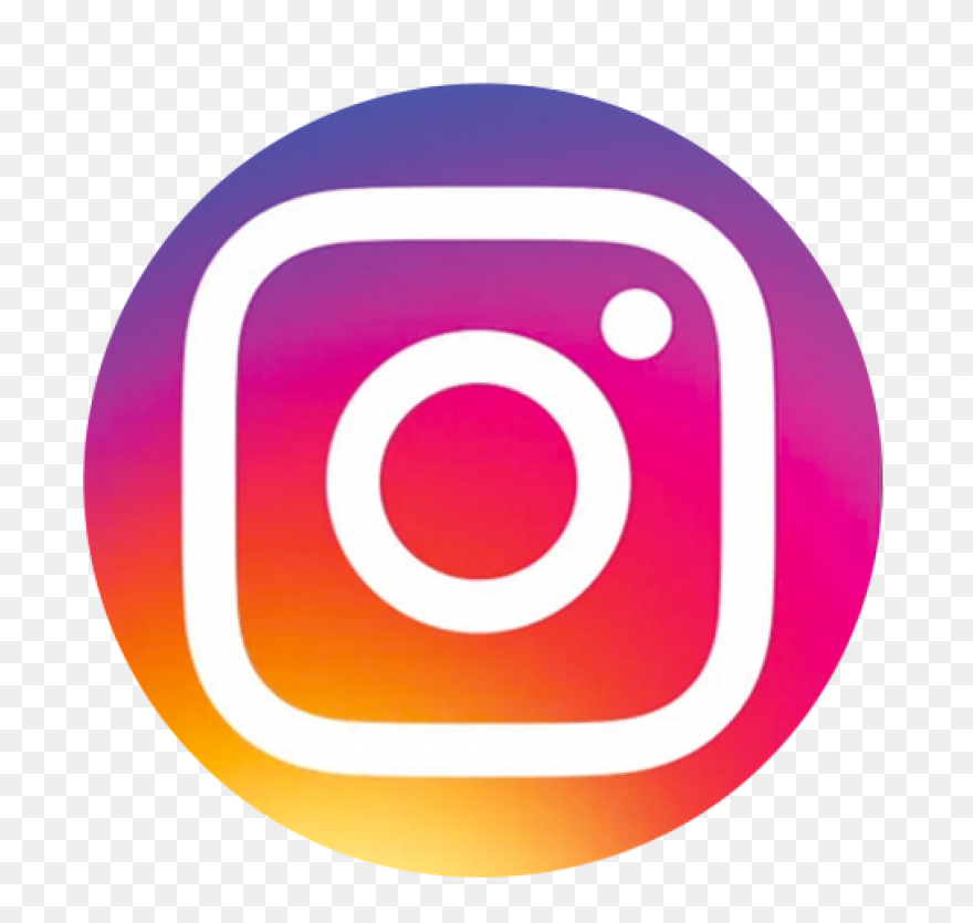 Insta Logo Danone Institute - Insta