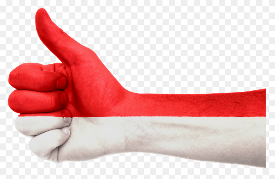Indonesia Flag Icon Png - ClipartFl
