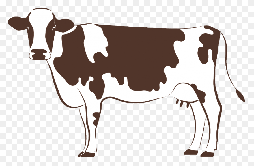 Download Hd Cow Clipart Cow - Indian Cow