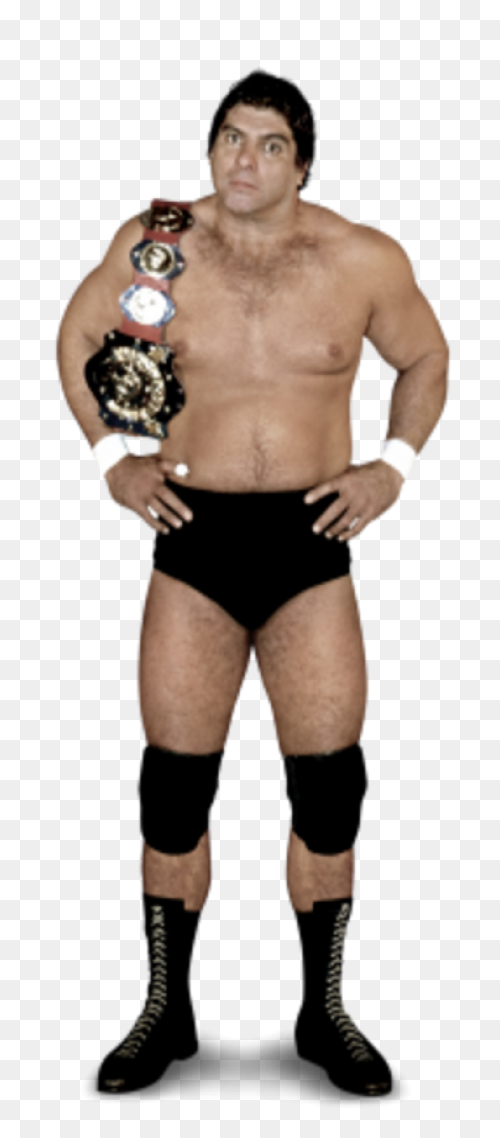 Don Muraco | Pro Wrestling - Intercontinental Championship