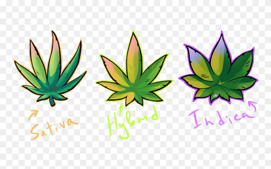 Indica - Free Nature Icons
