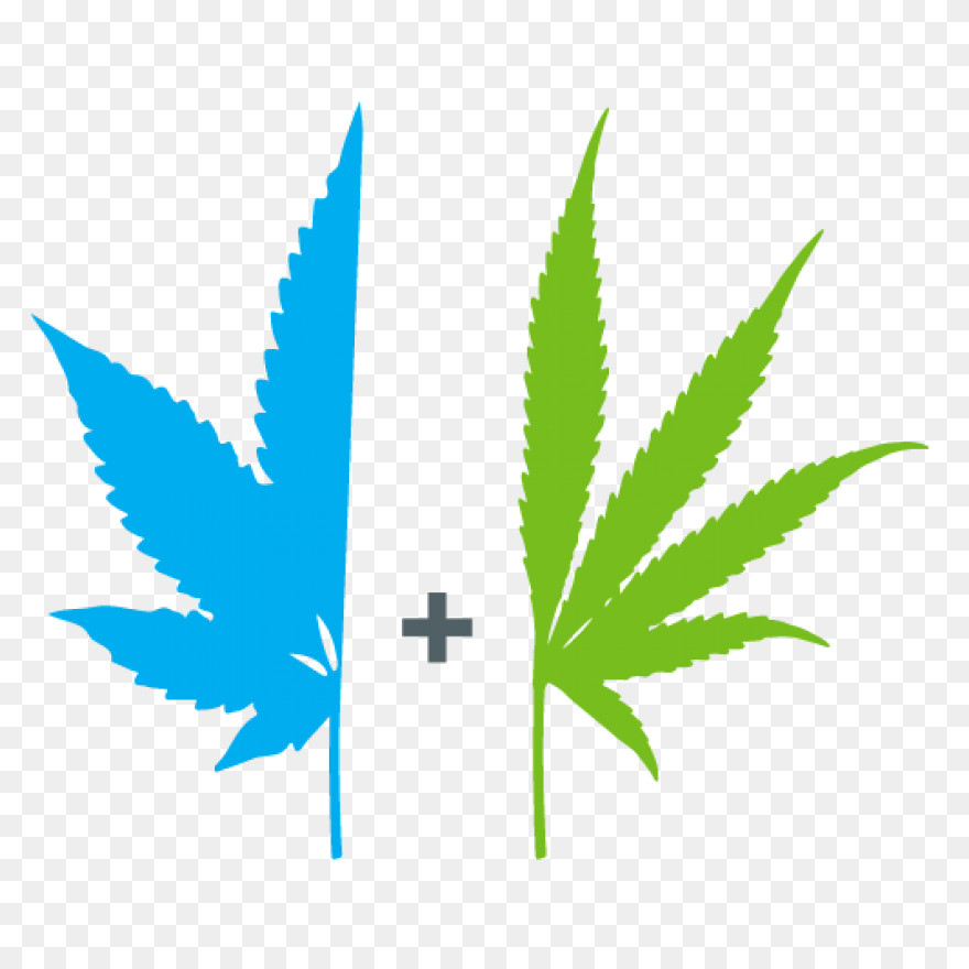 Indica - Free Nature Icons