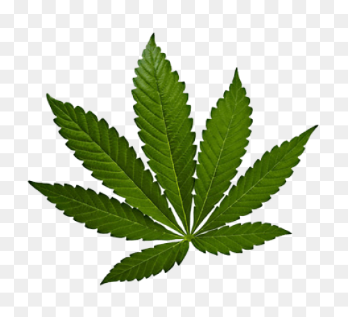 Indica - Free Nature Icons