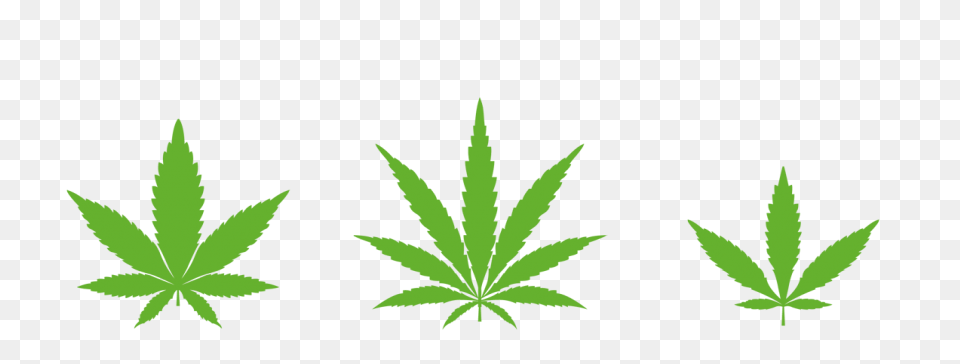 Indica - Free Nature Icons
