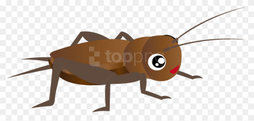 Free Png Cricket Insect Clipart - Insect