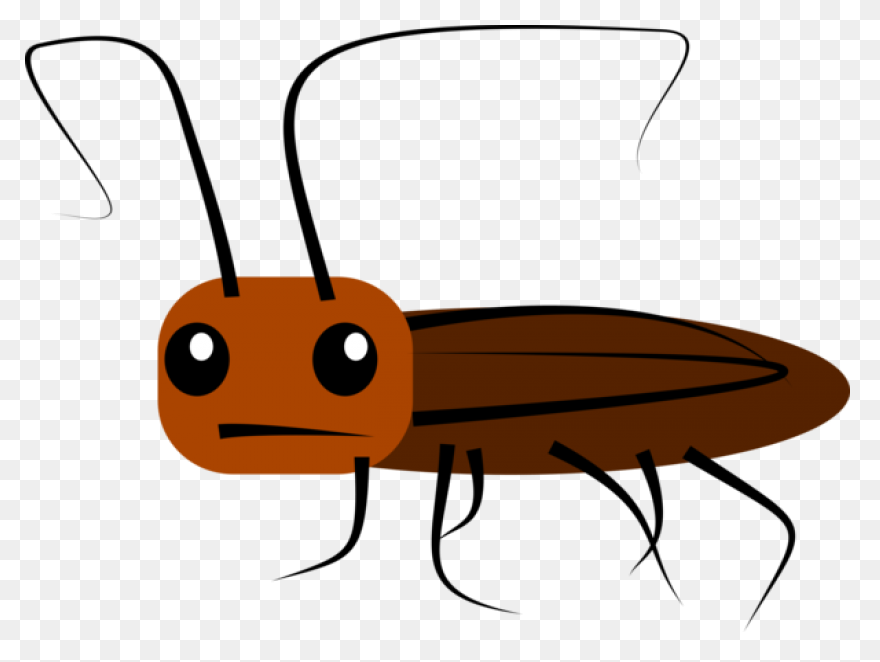 Free Png Cricket Insect Clipart Png